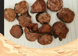 雷竞技官网进入 -附L忀蓭?f(附属和附和一样意思吗)